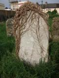 image of grave number 112095